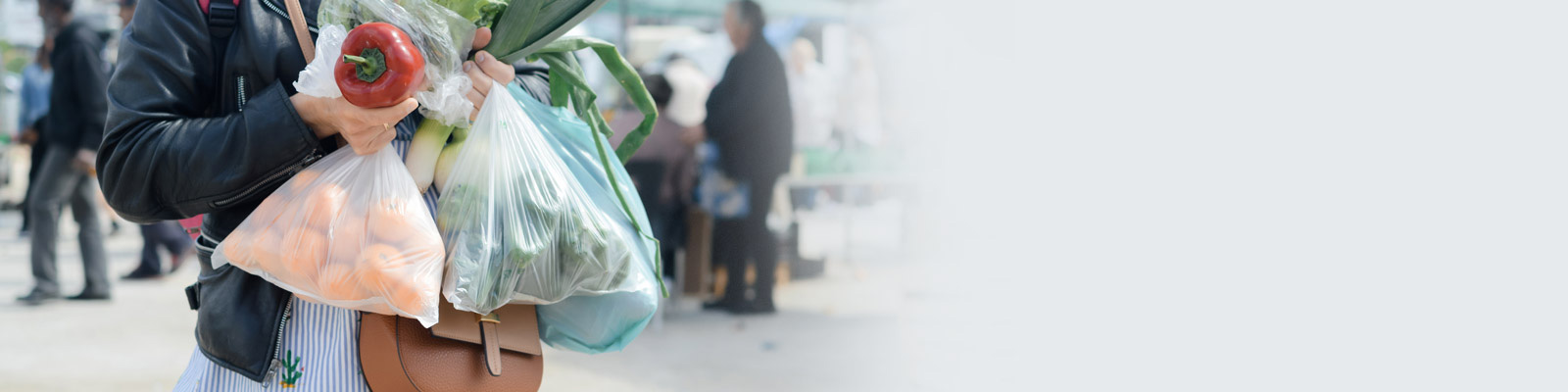 Shopping Bag